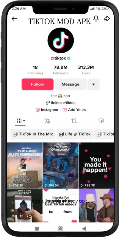 TikTok Premium App Interface