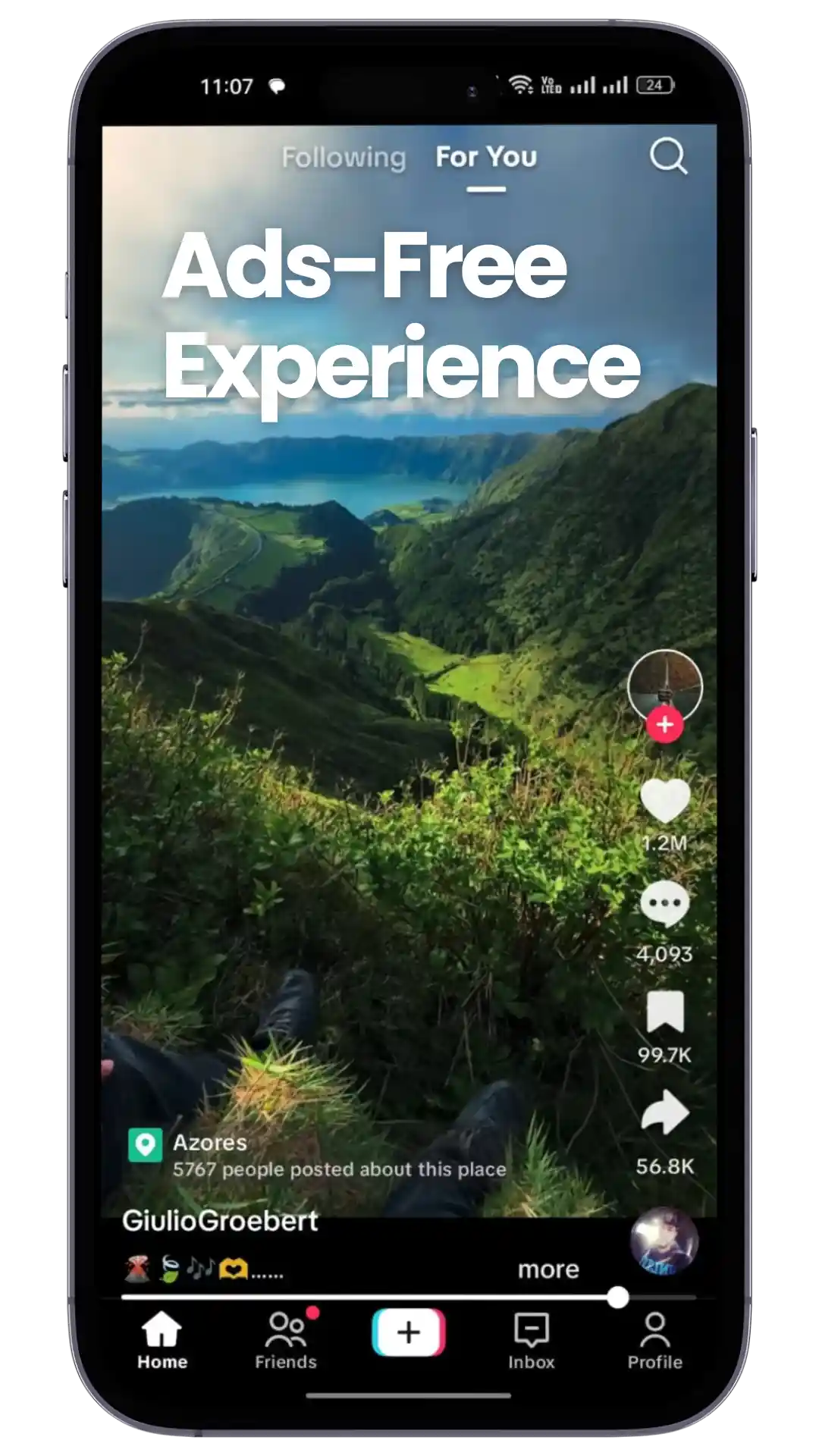 Ad-Free Browsing Experience